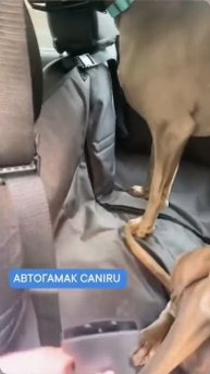 Автогамак трансформер для собак Caniru отзыв
