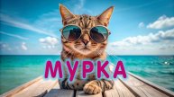ДЕТСКАЯ ПЕСЕНКА - МУРКА. ПЕСНЯ ПРО КОШКУ на МОРЕ