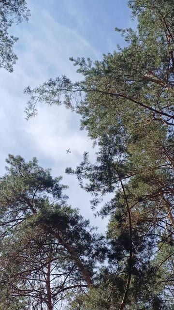 АН-26
