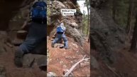 В Америке огромная гора оказалась гигантским окаменелым деревом, причём она такая не единственная