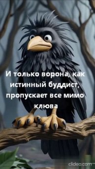 Все дело в птицах