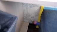 Азбукварик - Зарядка с Носорожкам - Развивающий мультик для детей