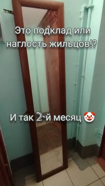 Улица Кубинка или как выносить мусор