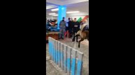 Ярмарка вакансий