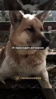 Репост.Истина.