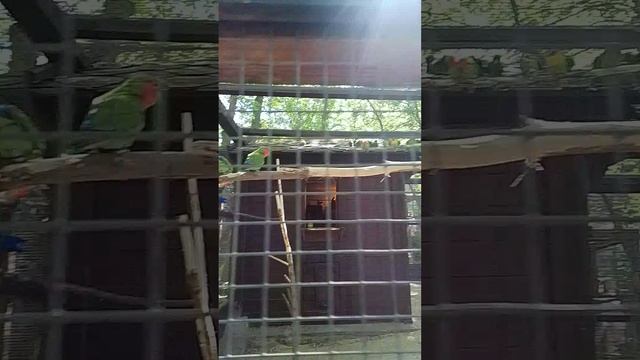 1000024750.mp4г