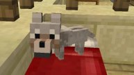 MINECRAFT ПОГОВОРИМ: ЧТО СЛУЧИЛОСЬ С СОБАКОЙ КСЮШИ