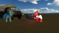 Животные в Космосе!