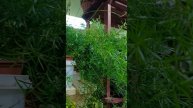 Ассортимент нашего магазина 3 мая