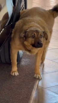 Теперь это его машина