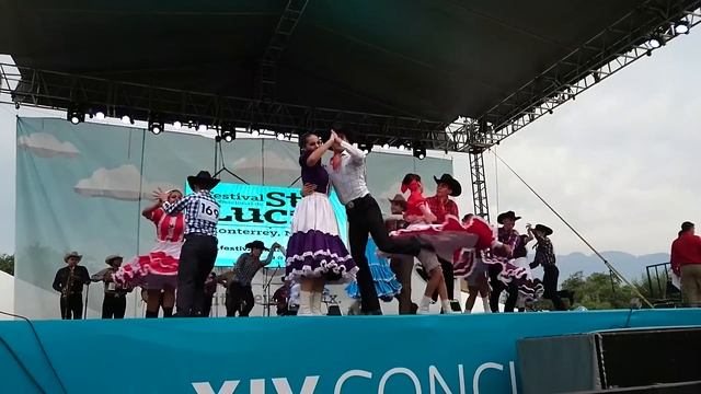 Конкурс польки 2016 -чихуахуа (3)#upskirt#костюмированный#латино#танец