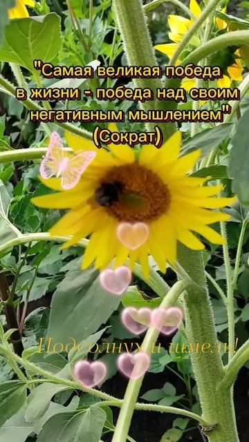 Победа над негативным мышлением