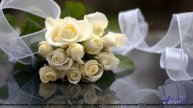 ✸ ♫ ❤ Клип, который изменит твой день - 240518_004 -- Kosta T -- диктофн7 (1).mp4
