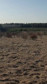 Открыл сезон.