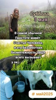 #мотивация #мотивациядня