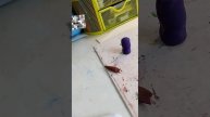 Леплю из пластилина спрунки.