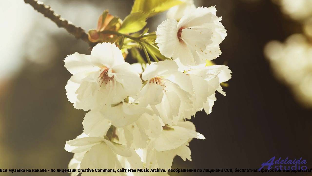 ❤❤❤ Бит, от которого трясутся ноги - Robotic AG Theme -- LowLevA -- Unnamed album.mp4