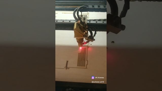 1000031316.mp4
