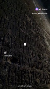 clip-222609531_456239469.mp4