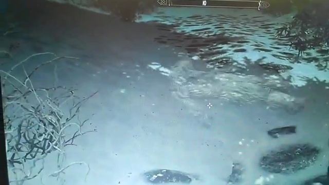 Скайрим прикол