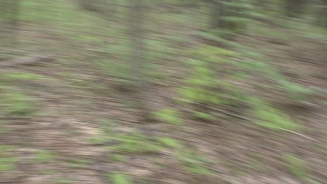 Вот Наше Горная Местность От 02 05 2025 Года.