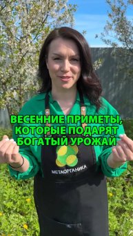 Весенние приметы, которые подарят богатый урожай