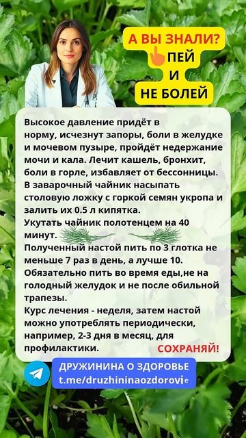 Семена укропа ПЕЙ и НЕ БОЛЕЙ #здоровье #зож #пп #укроп #семена