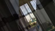 мое летние утро
