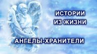 Истории из жизни. Ангелы-хранители. Чудо.