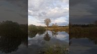 Весенняя красота природы.mp4