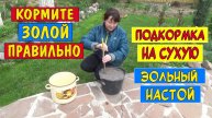 ЗОЛА - лучшая подкормка! Только не сыпьте её под куст, кормите золой правильно!