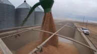 Пневмоперегружатель AGRI VAC от Walinga