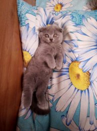 на дереве с падругой