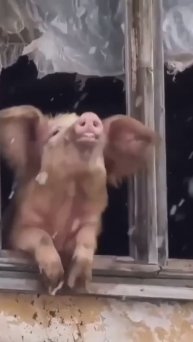 Непогода не помеха, май не отменяется!😂