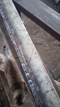 миниплуг ..не сломает и танк..