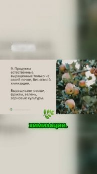 Секреты здоровья хунзов_ как они живут долго и счастливо(2)