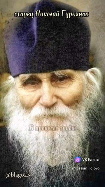 clip711358425_456245684.mp4