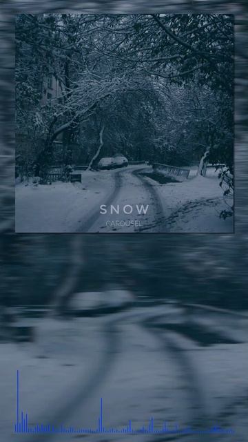 CAROUSEL - Snow