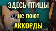 ЗДЕСЬ ПТИЦЫ НЕ ПОЮТ на гитаре аккорды