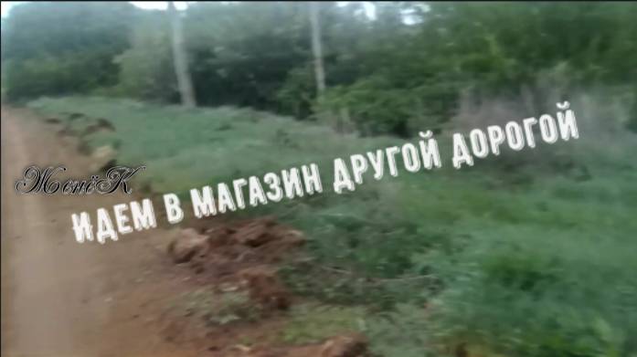 Идём в магазин другой дорогой