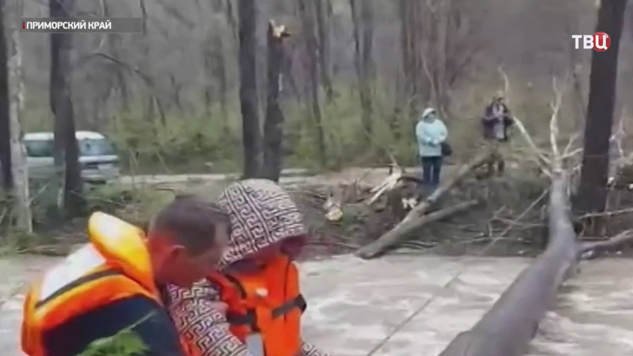Сильные ливни размыли дороги в Приморье / События на ТВЦ