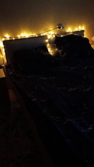 VID_20250405_165222