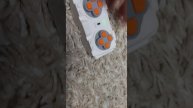 ОБЗОР НА МАШИНУ