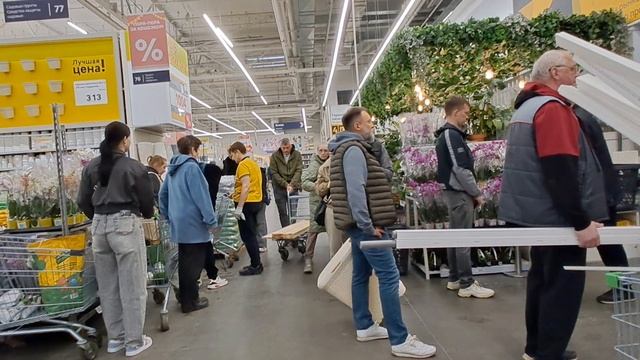 С родителями. Крюково, Иридиум. Лемана про, ( Леруа мерлен. ) Зеленопарк, ашан.