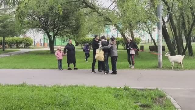 ТЁТКА ХОТЕЛА УКРАСТЬ ДВУХ МАЛЕНЬКИХ КОЗЛЯТ В БУТОВО!ПОЗОРНИЦА