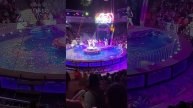 цырк на воде