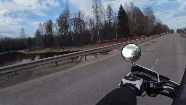 По лесу 31