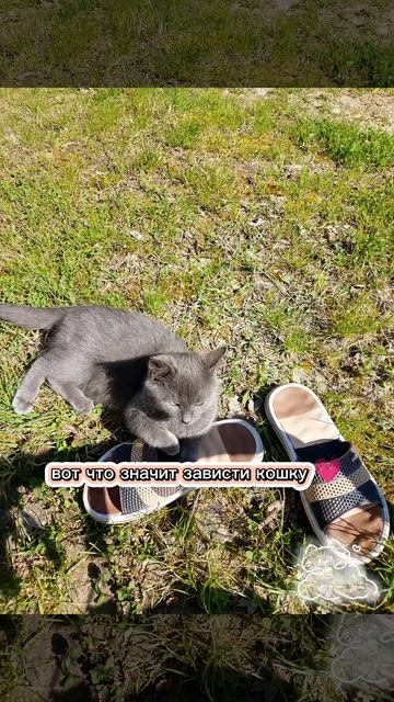 #мими#😍