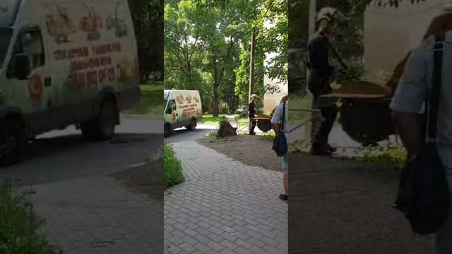 Уничтожение пня в СПб