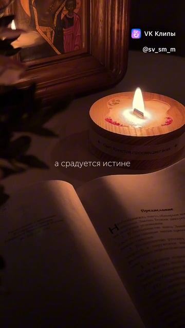 clip-227782433_456239023.mp4